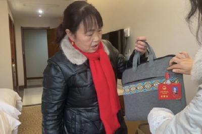 心系民生聚焦发展 县人大代表向大会报到