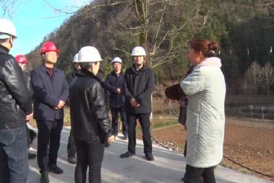 覃业成到长乐坪镇检查安全生产工作