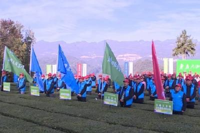 健全茶产业社会化服务体系 拓展“服务圈”壮大五峰茶产业
