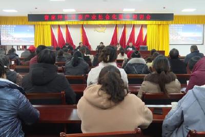 推进茶产业社会化服务 加快五峰茶业高质量发展