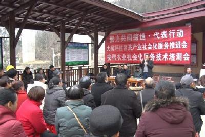 茶产业社会化服务组织开启培训模式 “备战”春茶开园