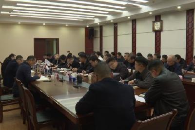 全县地质灾害避险搬迁、耕地保护等重点工作推进会召开