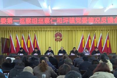 县委第一巡察组向仁和坪镇党委反馈巡察情况