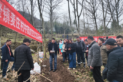 “民主信箱”有回应 “代表讲堂”进田间