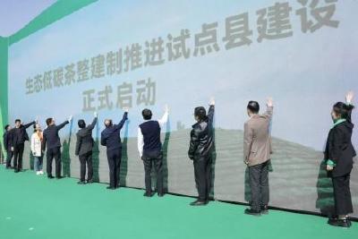我县启动“首批生态低碳茶整建制推进试点县建设”