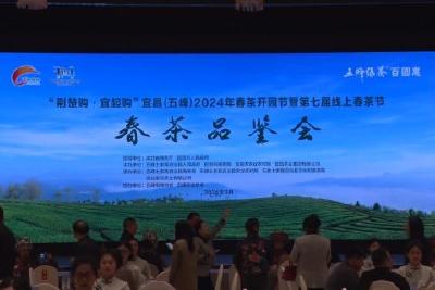 春日百花艳 茶香最风华 2024年春茶品鉴会举行