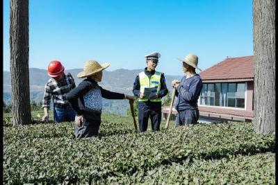 “一警三专N员”护航茶季平安