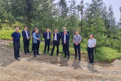 省林业局来我县调研林业重点工作