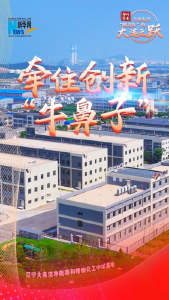 神州答卷丨全面振兴“跳高队”的大连之跃