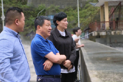 兴发集团来我县调研全域旅游工作