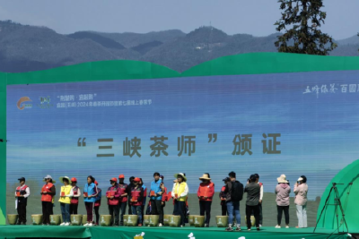 “三峡茶师”赋能茶产业高质量发展