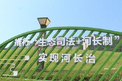 司法为生态“疗伤” 护绿水青山“颜值”