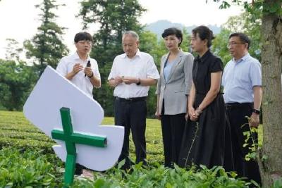 全市茶产业链建设工作推进会在我县召开