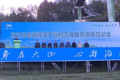 社会化服务 破解古老茶乡之困