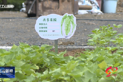 渔洋关镇：践行“五共”理念 缔造美好生活