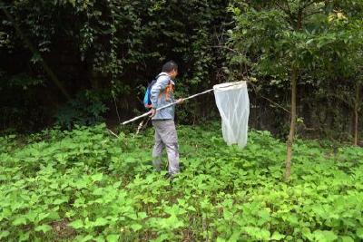 摸清生态“家底” 我县组织开展生物多样性本底调查