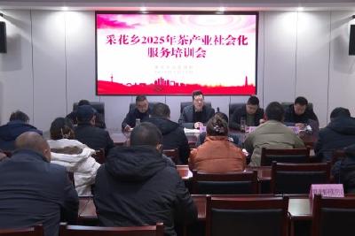 “茶园服务”小程序升级上线