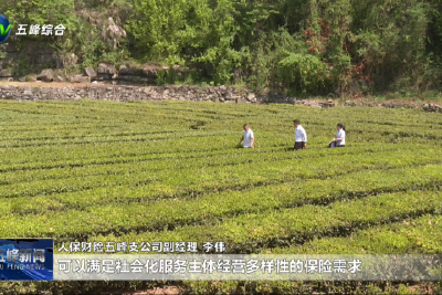 “茶工险”提档升级 拓展社会化服务半径