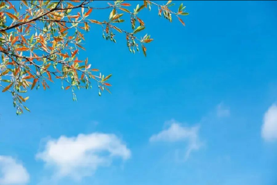 出伏防秋燥 养生正当时