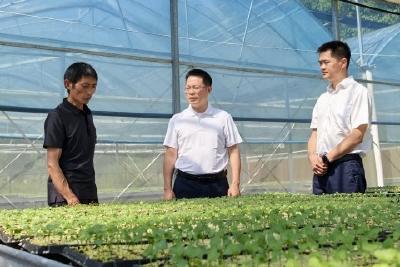 谭志军在采花乡、傅家堰乡调研