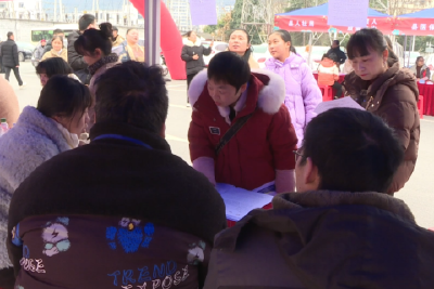 县人社局双线发力促就业 专场招聘+免费培训即将启幕