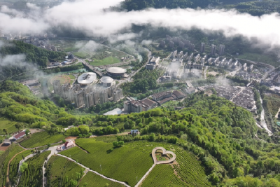 我县召开2026年宜昌（五峰）春茶开园节  暨第九届线上春茶嘉年华筹备会