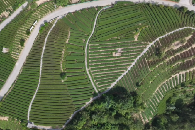 两个村庄的绿色实干路：从“生态变现”到“产业提信”