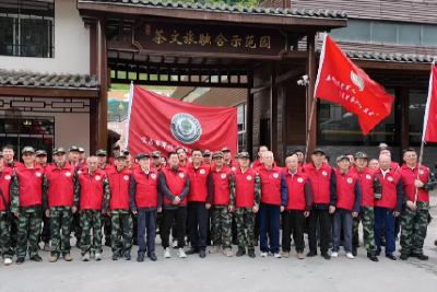 主题党日凝共识  银龄茶乡助振兴