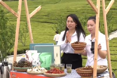 “云端赶集”赛技能 “村播”赋能促振兴  全县村播电商巡回培训暨直播竞赛首站走进仁和坪镇