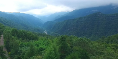 从“林长制”到“林长治”——我县书写绿色崛起新篇章