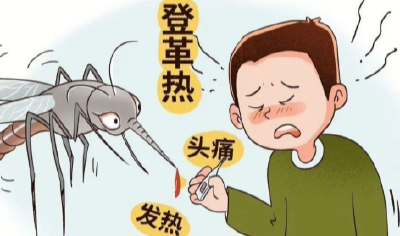 气温回升蚊虫活跃 科学防护健康先行
