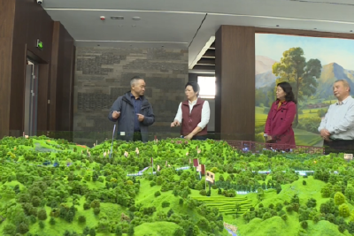市政协赴我县调研茶产业链建设