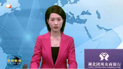 团风镇向特殊困难群体发放“健康服务包”