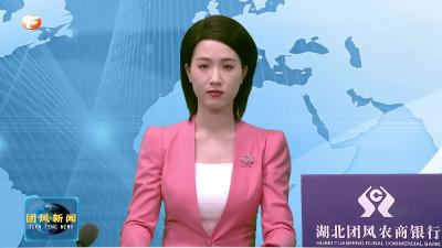 团风代表团热议《市政府工作报告》