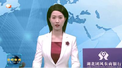 团风代表团继续审议《市政府工作报告》