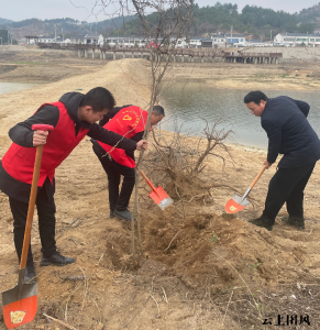 县司法局组织开展义务植树活动