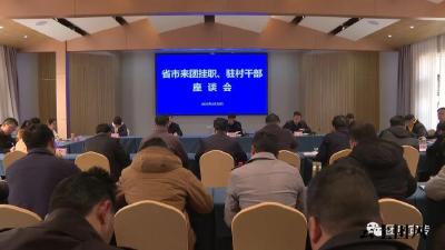 我县召开省市挂职干部、驻村工作队座谈会