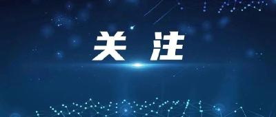 湖北汉川有司机给百元感谢费骗小学生上车带路？真相是……