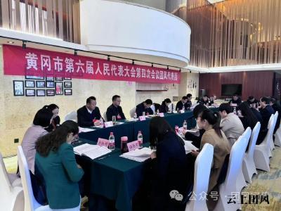 团风代表团审议市人大常委会工作报告