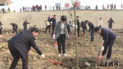 春风拂新绿，植树正当时 县“四大家”领导带头参加义务植树活动