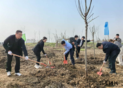 县财政局积极参加义务植树活动