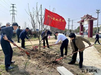 省地质局胡道银一行来回龙山镇李四光故居开展义务植树活动