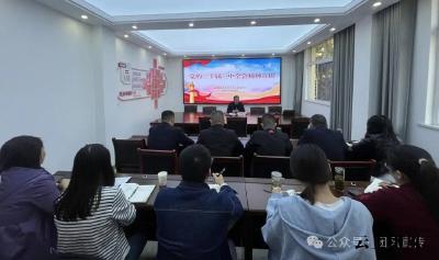 学习全会精神，提升能力素质——县区域发展和重点项目服务中心召开党的二十届三中全会精神宣讲会