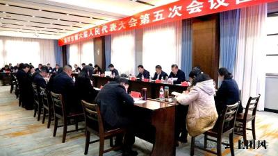 聚焦黄冈两会 | 团风代表团集中审议《市政府工作报告》