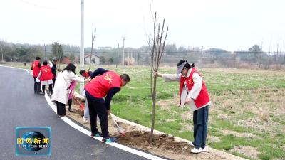 县实验小学马曹庙校区开展植树活动