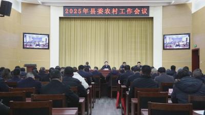 我县召开2025年县委农村工作会