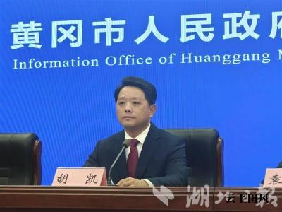 聚焦绿色建材与农产品加工，2025年团风这样干