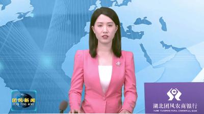 湖北团风魏家冲抽水蓄能电站项目加速推进