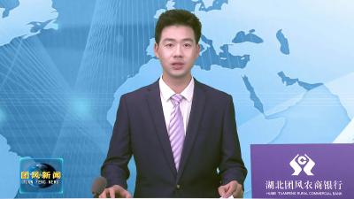 团风籍返乡企业家座谈会召开 共话家乡变化 共谋发展大计