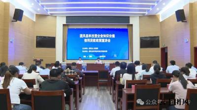 知识价值信用贷，科技型企业的“及时雨”